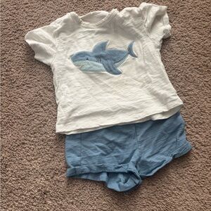 Shark Graphic Tee and Shorts Set